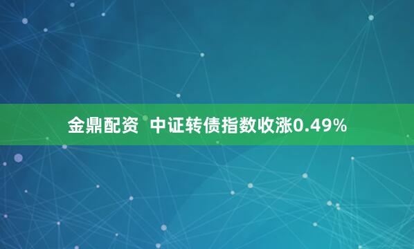 金鼎配资  中证转债指数收涨0.49%