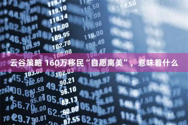云谷策略 160万移民“自愿离美”，意味着什么